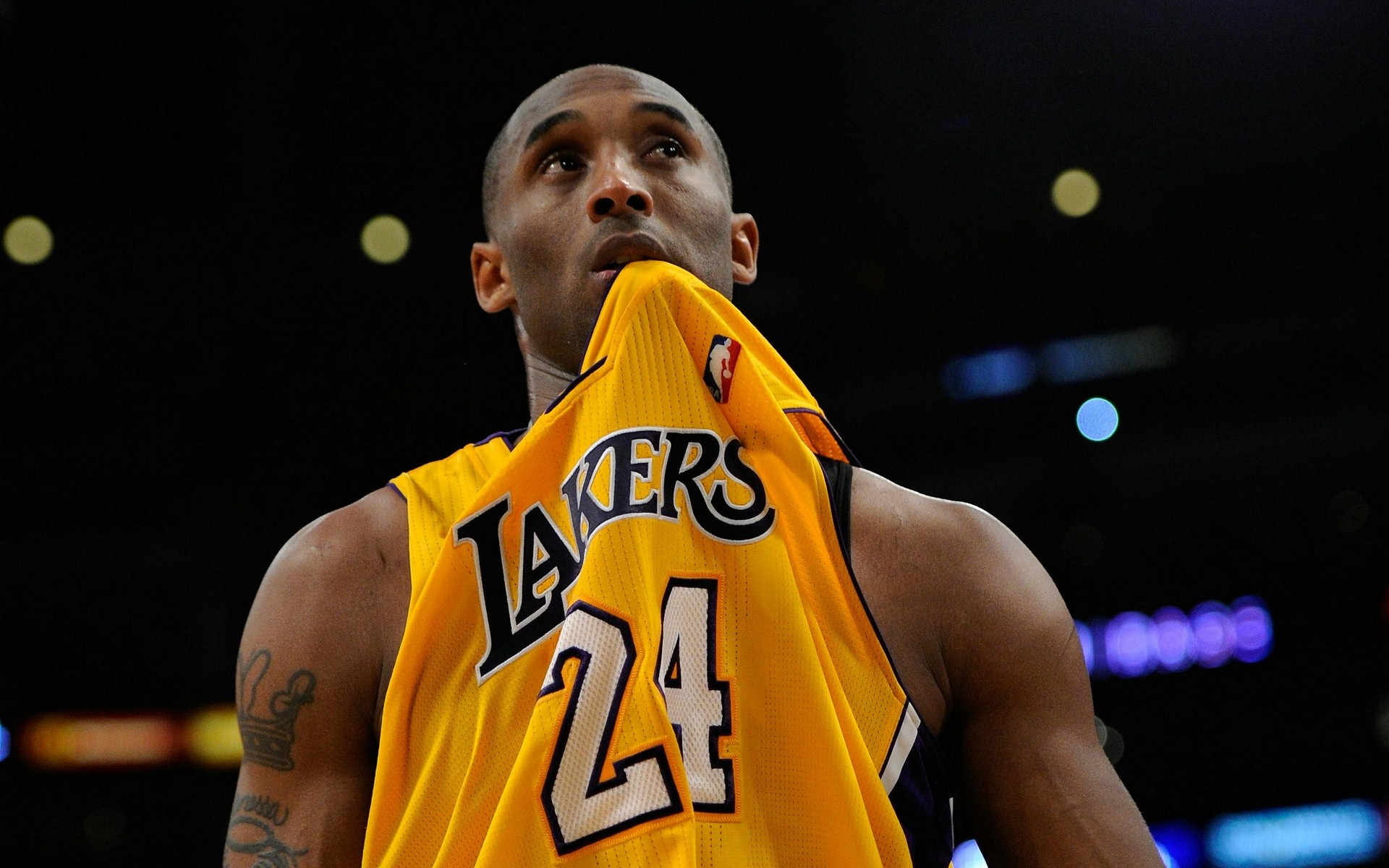 下了坚实的 下了坚实的