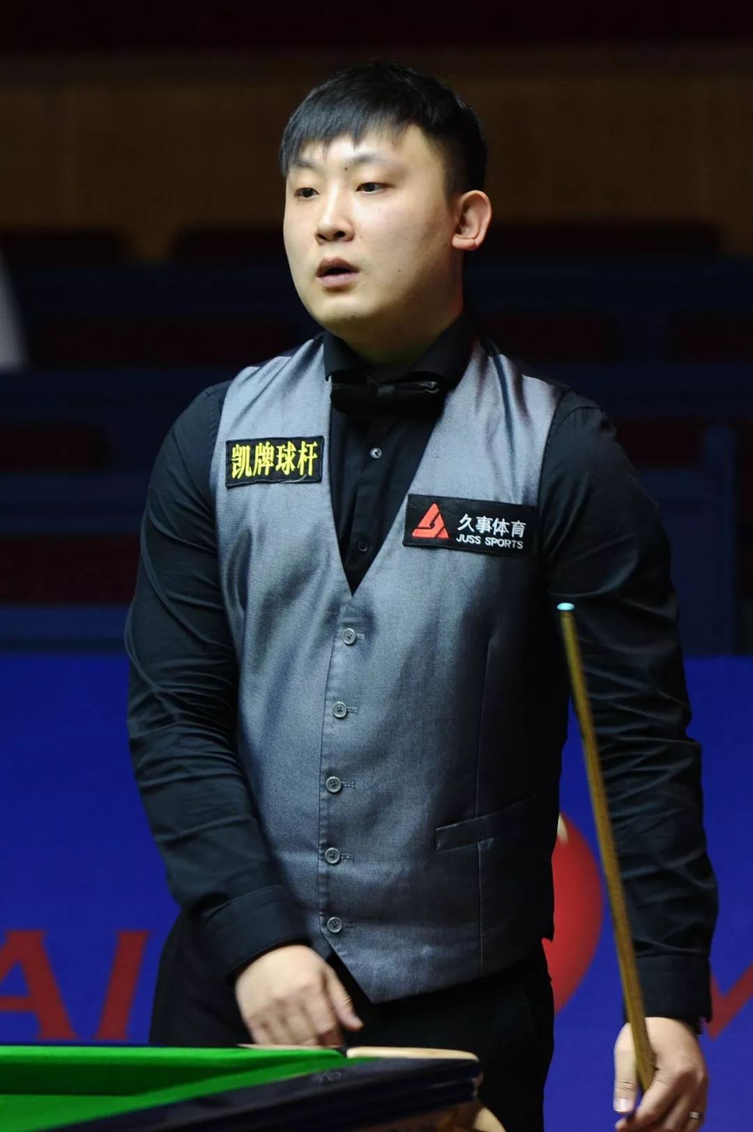 不仅获得了 不仅获得了