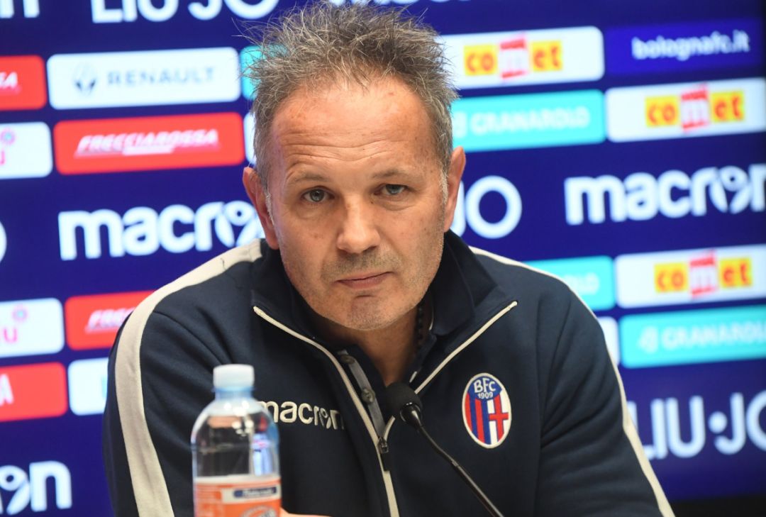 新夺回属于 新夺回属于