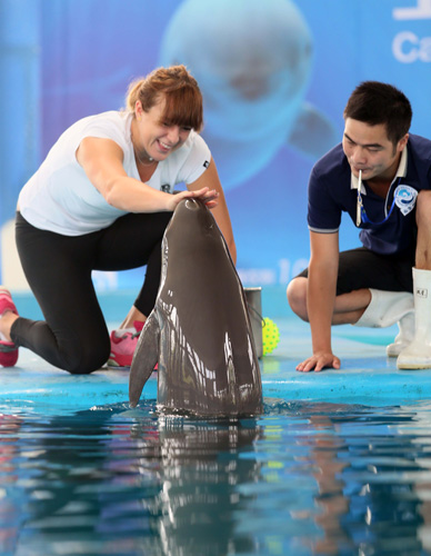 森林狼的整 森林狼的整